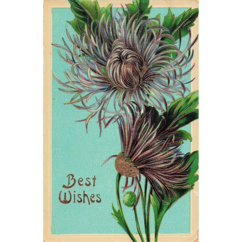 Vintage 1912 Best Wishes Chrysanthemum Embossed Postcard Made in Germany VG - Picture 1 of 2
